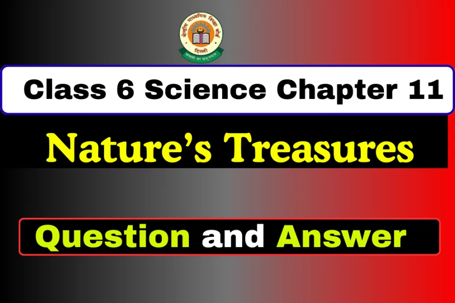 Question With Answer Class 6 Chapter 11 Nature’s Treasures Question With Answer Class 6 Chapter 11 Nature’s Treasures
